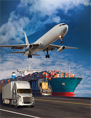 Cargo Movement